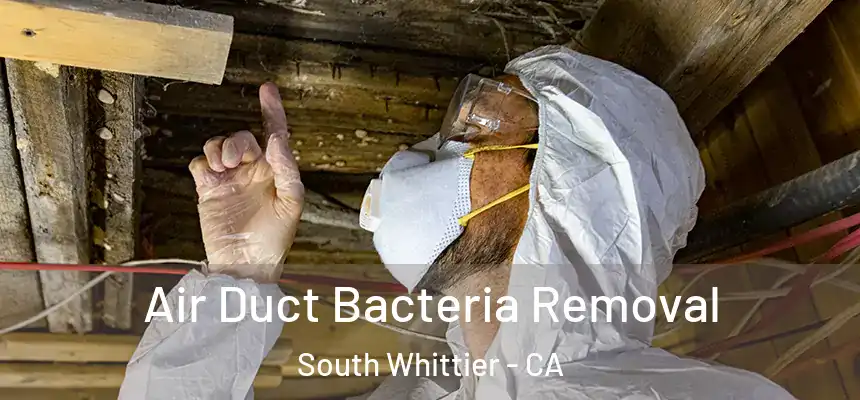 Air Duct Bacteria Removal South Whittier - CA