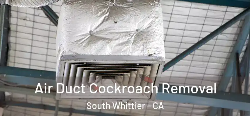Air Duct Cockroach Removal South Whittier - CA
