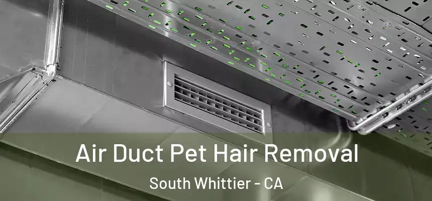  Air Duct Pet Hair Removal South Whittier - CA