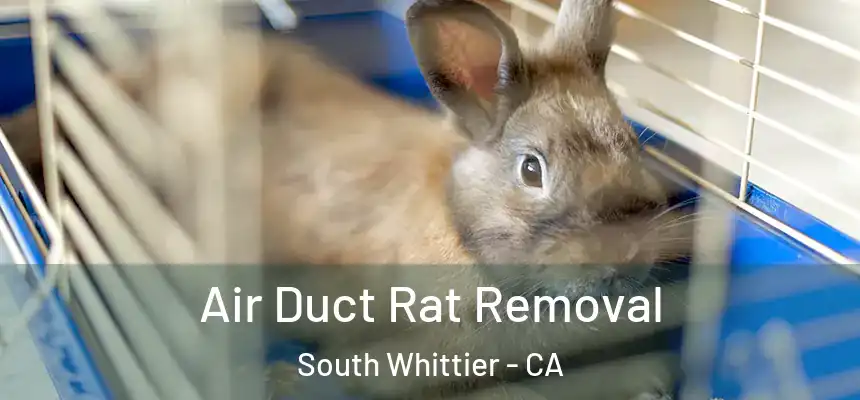  Air Duct Rat Removal South Whittier - CA