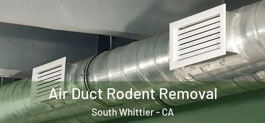  Air Duct Rodent Removal South Whittier - CA