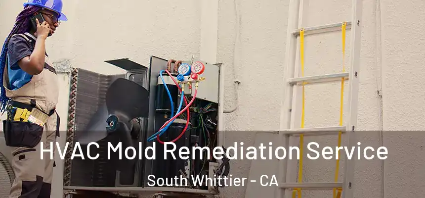  HVAC Mold Remediation Service South Whittier - CA