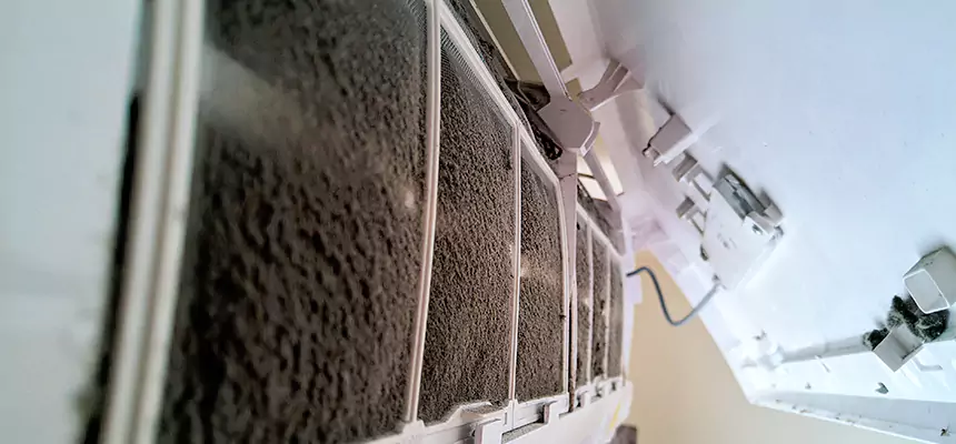 Preventive Air Duct Bacteria Removal in South Whittier