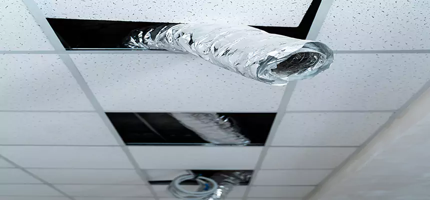 Affordable HVAC Sanitizing After Pest Removal in South Whittier