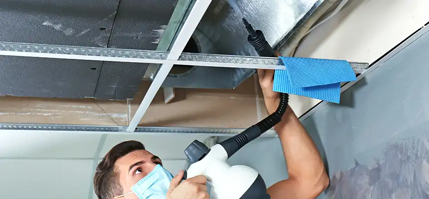 Our Air Duct Rodent Removal Services in South Whittier, CA
