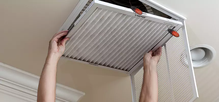Our Insect Removal from Air Ducts Services in South Whittier, CA