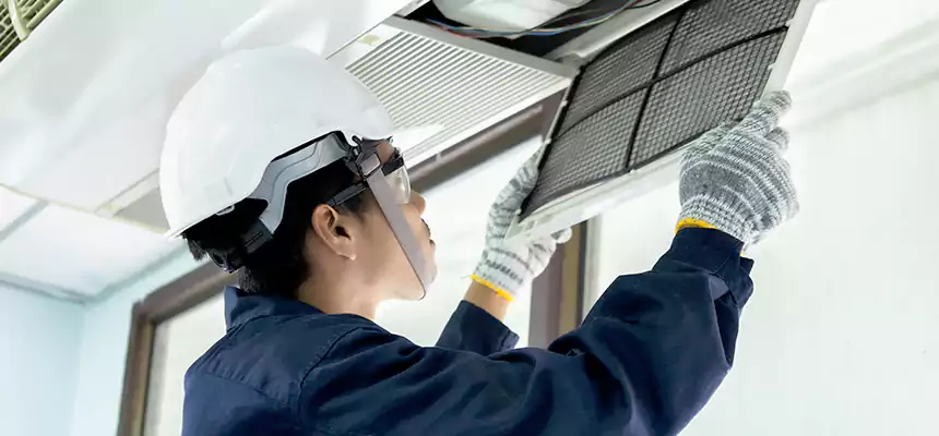 Our Mold & Mildew Removal from Air Ducts Services in South Whittier, CA