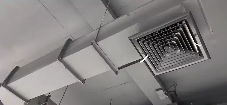 Our Pest Removal From Ducts Services in South Whittier, CA