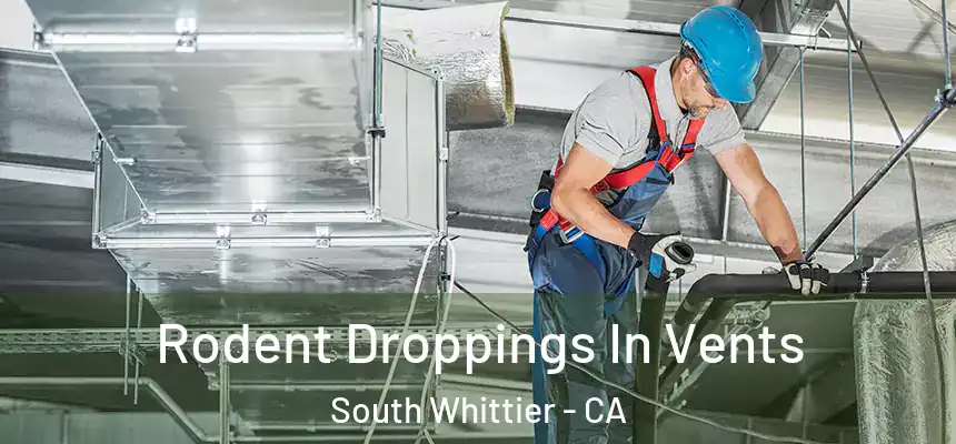  Rodent Droppings In Vents South Whittier - CA