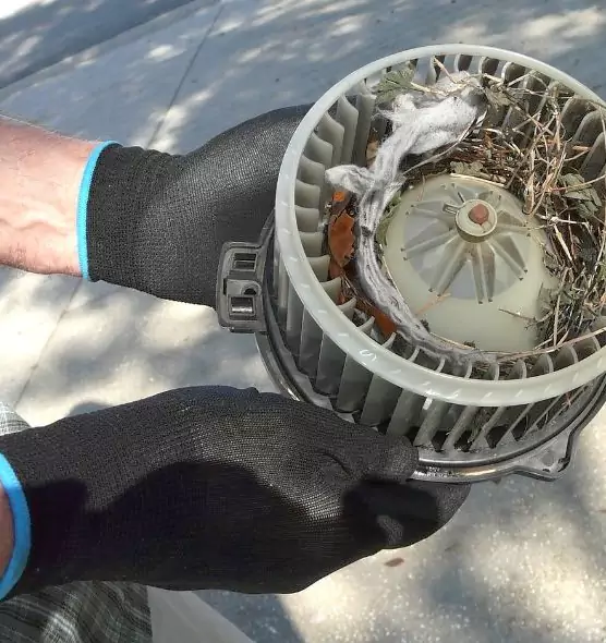 About Air Duct Mice Removal in South Whittier, CA