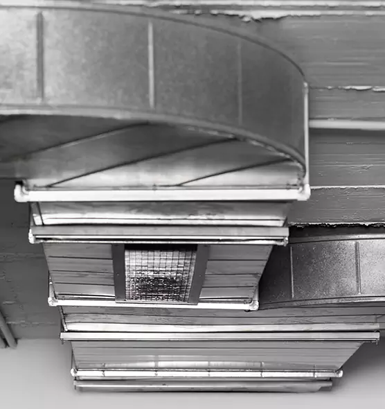 Professional Air Duct Pest Removal in South Whittier, CA