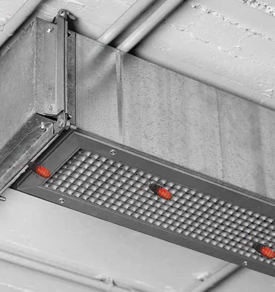 Affordable Insect Removal from Air Ducts in South Whittier, CA