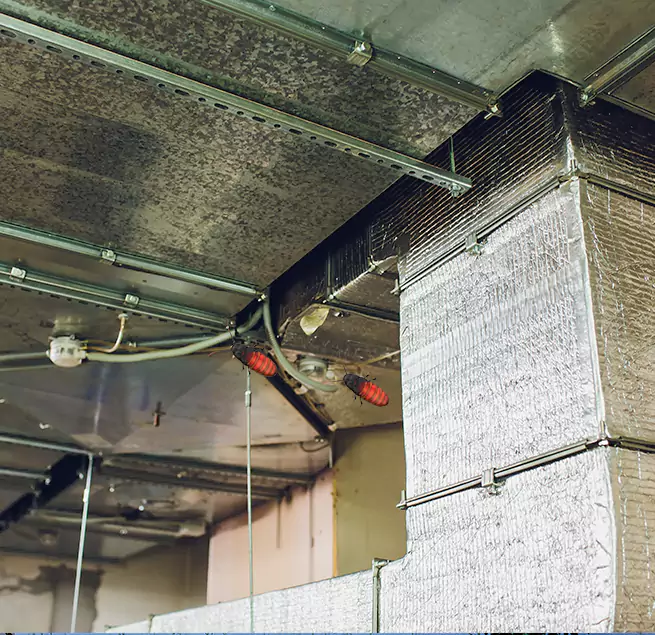 Why Homeowners & Businesses Trust Us in South Whittier, CA?