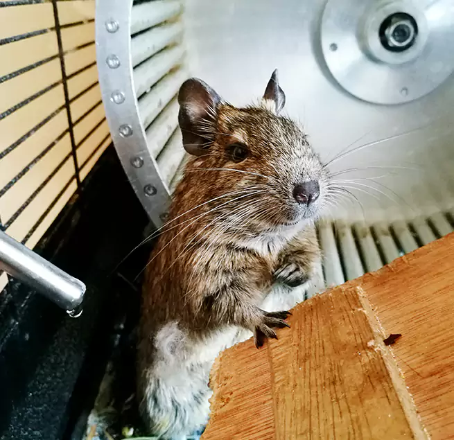 Why Homeowners & Businesses Trust Us South Whittier, CA?