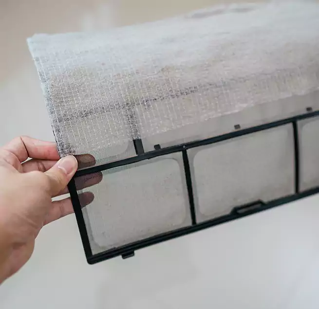 Why Homeowners & Businesses Trust Us in South Whittier, CA?